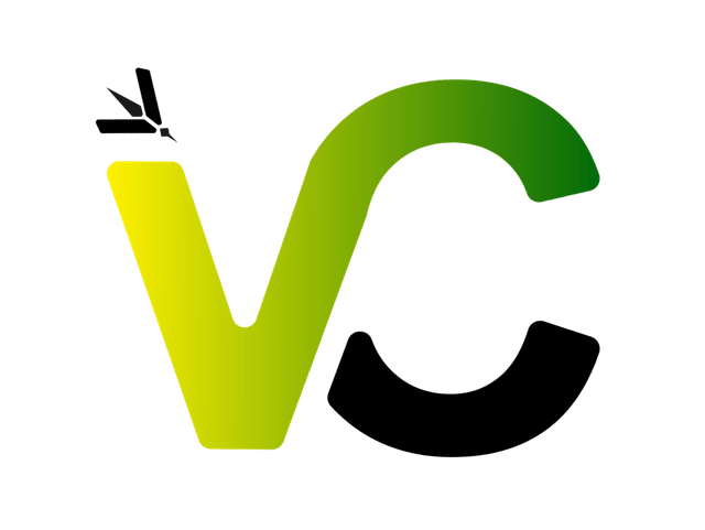 VectorCam Logo